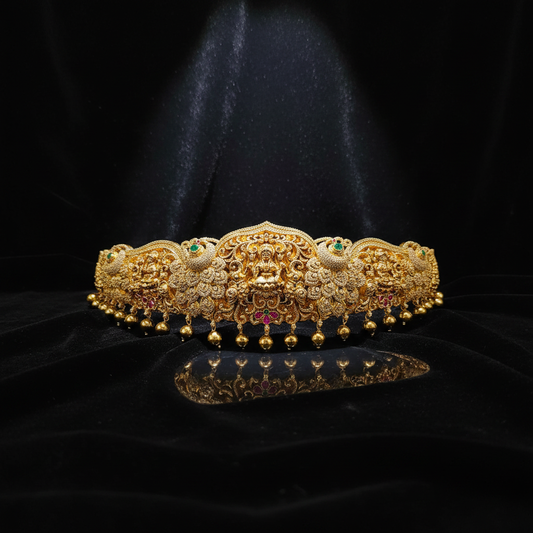 Nakshi Vadanam - Luxury Studio Shot